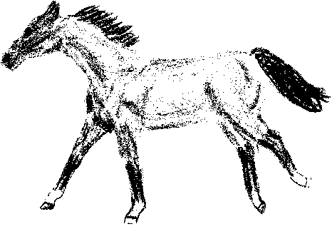 Horse3.bmp (19322 bytes)